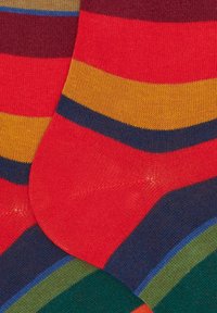 Calze di cotone multicolori con righe orizzontali in rosso, giallo, verde, blu e blu scuro. Texture morbida con area delle dita rinforzata.