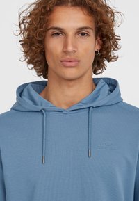Light blue hooded sweatshirt with a textured finish, featuring a kangaroo pocket and embroidered logo on the chest.