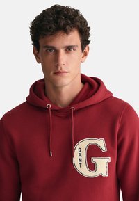 GANT GRAPHIC  - Sudadera - carbernet red