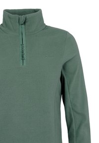 Pullover in pile verde foresta con colletto a zip, caratterizzato da una superficie testurizzata e dettaglio del logo sul petto. Design caldo e leggero.