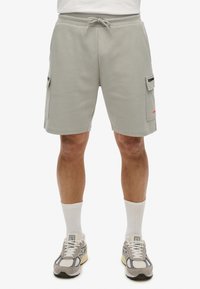 Lichtgrijze cargoshorts gemaakt van zacht materiaal, met twee zijzakken, een drawstring taille en een klein logo in het rood.