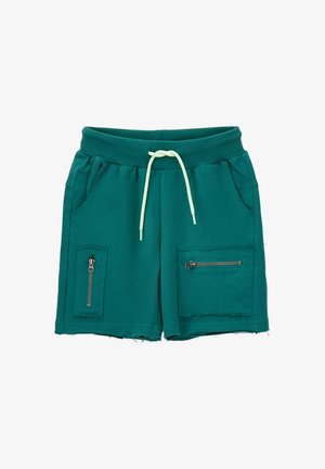 Pantalones cortos verdes con cintura elástica y cordón claro, bolsillos laterales y dos bolsillos delanteros con cremallera con bordes deshilachados sobre fondo blanco.