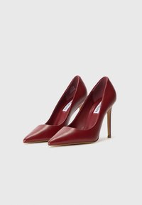 Steve Madden THRIVE - High heels - wine