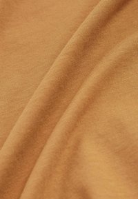Reiss REISS BLESS CREW NECK T-SHIRT - Základné tričko - tan brown