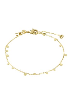 Delicate gold chain bracelet with small round disc charms evenly spaced, featuring a lobster clasp and adjustable length extension.