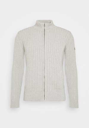 PLECORAGE - Strickjacke - light heather grey