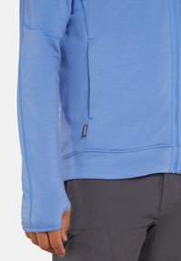 icebreaker MERINO 360  REAL FLEECE ELEMENTAL ZIP HOODIE - Sweater met rits - baja