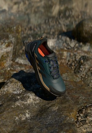 Adidas Terrex ANYLANDER R.RDY - Turistiniai batai - aurora ivy/core black/cardboard