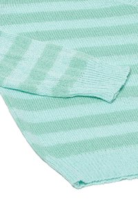 Maglione a righe verde menta con una consistenza morbida, caratterizzato da polsini a coste e righe alternate chiare e scure. Tessuto a maglia liscia.