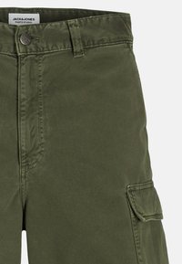 Jack & Jones KARL - Pantaloni cargo - grün
