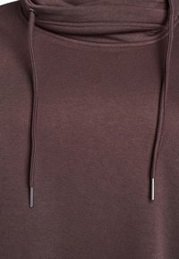 Sudadera con capucha marrón de tejido suave y texturizado. Presenta un cuello alto y cordones de plata. Diseño simple y minimalista.