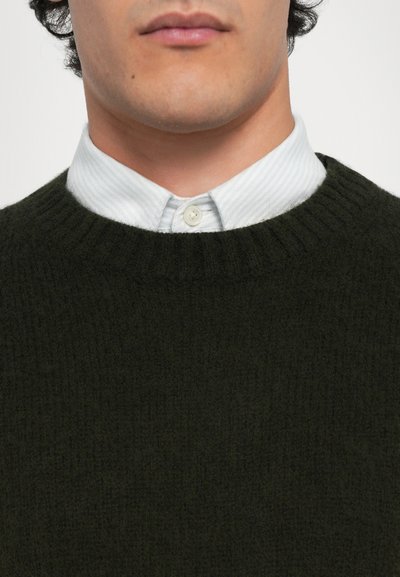 Pull en tricot vert foncé avec un col à côtes porté par-dessus une chemise à col rayée bleu clair et blanche, dotée d'une fermeture à bouton unique.