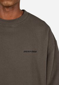 Pegador LOGO - Ikdienas džemperis - washed walnut brown black