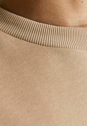 Felpa beige con collo a girocollo a coste. Tessuto liscio, materiale leggero con una leggera elasticità. L'angolo ravvicinato evidenzia i dettagli.