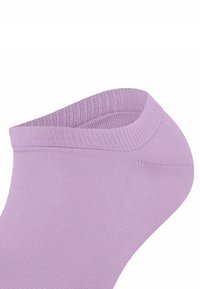 FALKE - Skarpety