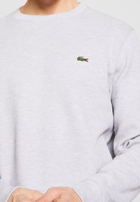 Maglione grigio chiaro con texture, maniche lunghe e un piccolo logo di coccodrillo verde ricamato sul lato sinistro del petto.