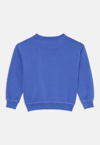 Zila kokvilnas džemperis ar apaļu apkakli, garām piedurknēm un ribotām aprocēm. Gluda tekstūra ar šuvju detaļām gar malām. Aizmugures skats.