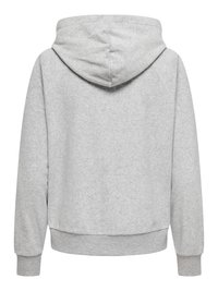 Sweat à capuche gris clair à manches longues avec poignets et ourlet côtelés, vu de dos sur fond blanc.