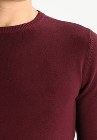 Bordeaux trui met een ronde hals, gebreide structuur en geribbelde manchetten. Het materiaal lijkt zacht en sluit goed aan het lichaam.