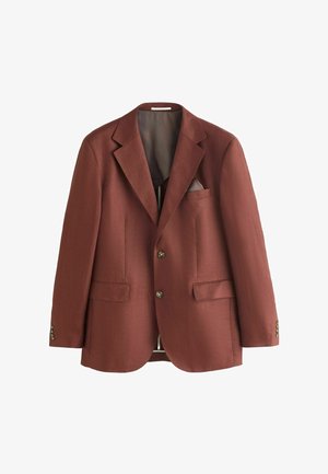 Muž v hrdzavej súprave a béžovej košeli s golierom stojaci pred neutrálnym textúrovaným pozadím, pozerajúci sa mierne nabok.