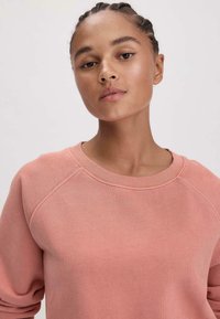 Felpa rosa chiaro con collo rotondo, maniche raglan e polsini a coste. Tessuto morbido e testurizzato con una vestibilità comoda, senza motivi visibili.