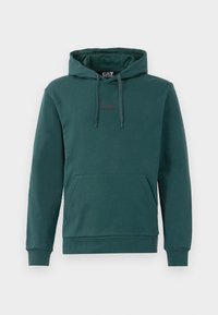 TRAIN CORE HOODIE - Huppari - ponderosa pine