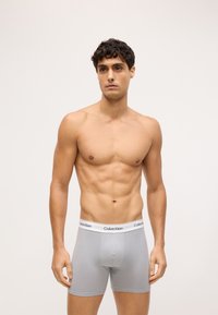 Szürke boxeralsó fehér derékrésszel, amelyen a "Calvin Klein" logo látható. Simaság jellemzi, testhezálló fazon, minta nélkül.