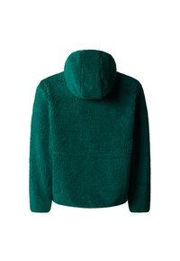 The North Face CAMPSHIRE - Forro polar - evergreen