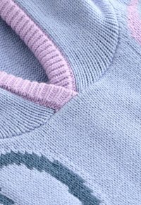 Sweter z dzianiny w jasnoniebieskiej kolorystyce z różowymi ściągaczami oraz teksturowanym wzorem, wyróżniającym się ciemnozielonym motywem.