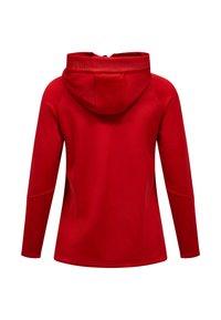 Rode hoodie met lange mouwen en een hoge kraag met de tekst "Peak Performance" op de capuchon, gezien van achteren.