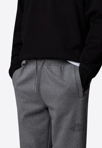 The North Face DREW PEAK - Træningsbukser - tnf medium grey heather