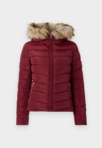 ONLELLAN HOOD LIFE - Vinterjakke - cabernet