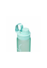 Clear plastic water bottle with a frosted finish, mint green lid, and patterned handle. Features a screw cap and spout for drinking.