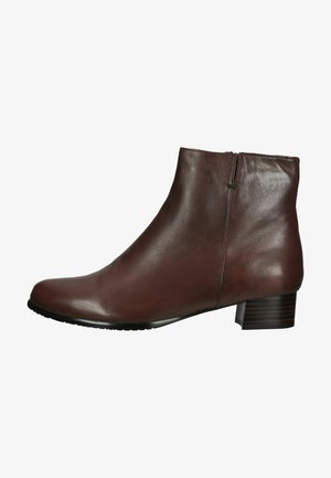 Ankle Boot - glove castagno