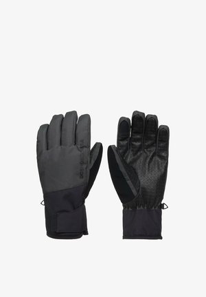 DC Shoes, DC SHOES MÄNNER TECHNICAL OUTERWEAR|TECHNICAL HANDWEAR UNISEX - Handschoenen - kvj