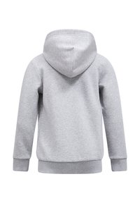Grijze sweatshirt met capuchon, geribbelde manchetten en zoom, gemaakt van zacht katoen, met een gladde textuur en een eenvoudig ontwerp.