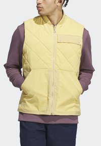 Muž v žltom prešívanom vestu, ktorý má na sebe fialovú dlhou rukávovú košeľu, so zasunutými rukami vo veste, stojí s bokom otočený voči jednoliatemu pozadiu.