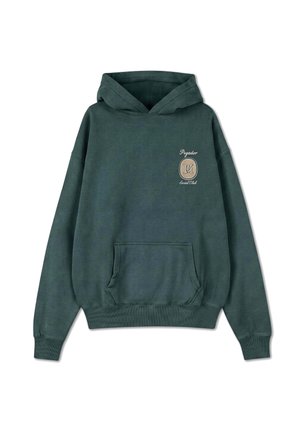 Pegador, PEGADOR OVERSIZED HOODIE CASOLI - Hoodie - grün