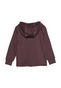 Bordeaux hoodie i mjukt material med en stor huva, långa ärmar och kontrasterande sömdetaljer längs sömmarna. Bakvy.