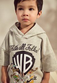 Grå kortärmad hoodie med en stor tryckt svart WB-logotyp och tecknade figurer, inklusive Bugs Bunny och Daffy Duck, på framsidan.