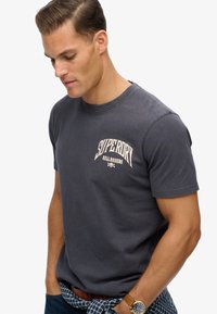 Camiseta gris de manga corta hecha de algodón con cuello redondo. Presenta un logo impreso de "Superdry Hellraisers" en crema claro. Corte casual.