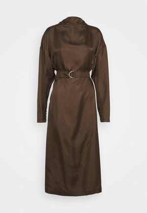 Hnědá saténová šaty s dlouhými rukávy, vysokým límcem, pasem s opaskem a stříbrnou sponou, a shromážděním na rukávech.