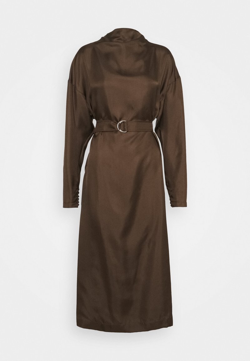 Hnědá saténová šaty s dlouhými rukávy, vysokým límcem, pasem s opaskem a stříbrnou sponou, a shromážděním na rukávech.