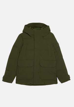 Save the duck ORVILE UNISEX - Zimska jakna - moss green