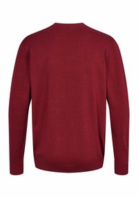 U.S. Polo Assn. ADAIR - Džemperis - tibetan red