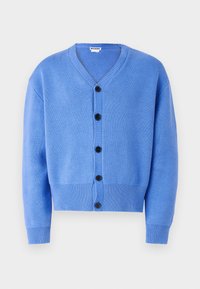 Cardigan tricotat albastru cu decolteu în V, șase nasturi negri pe față, manșete și tiv cu rips, evidențiind o textură moale și un design casual.