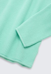 Rippenstrickpullover in Minzgrün mit strukturierter Oberfläche, legerer Passform und umgeschlagenen Bündchen. Weiches Material und glatte Oberfläche.