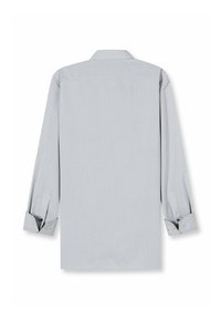 Hellgraues Langarmhemd mit spitzem Kragen, geknöpften Manschetten und glatter, einfarbiger Textur. Die Rückansicht zeigt einen geraden Schnitt.