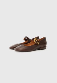 Scarpe Mary Jane in pelle marrone con punta appuntita e tacco a blocco piccolo. Presentano una fascia con una fibbia in tono oro come accentuazione.