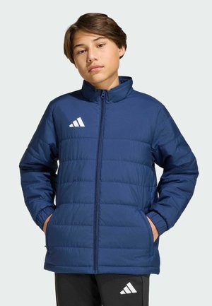adidas Performance, Chaqueta de invierno - team navy blue  white